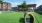 Pet Park