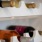 bottles of wine on wine racks